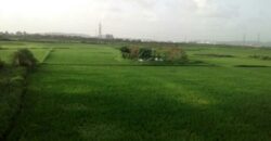 Land For Sale at Vindhane