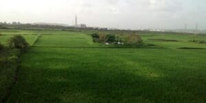 Land For Sale at Vindhane