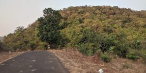 Sales for land Pushpa Farm Mahagaon Taluka Tala Dist Raigad